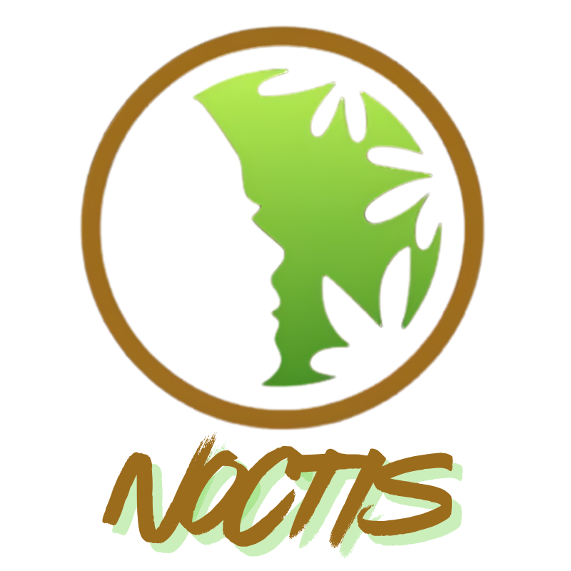 NOCTIS